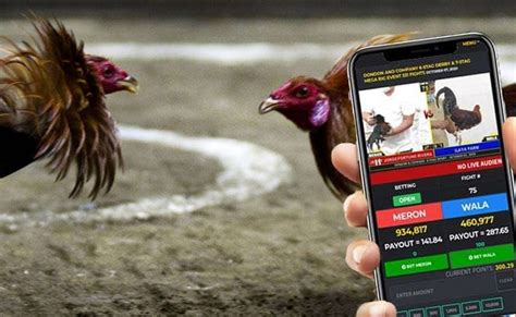 wala bet|Philippines Legal Sabong Betting 2024, Betting On Cockfights.